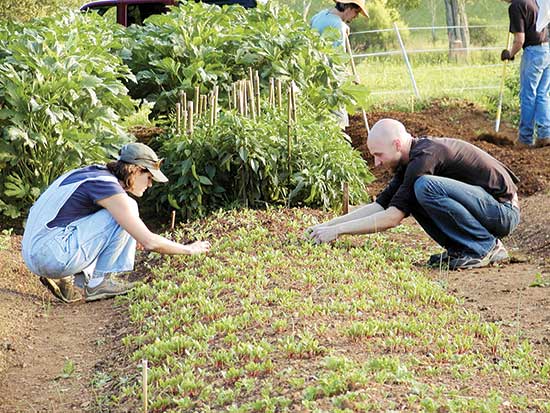Gardeners at The Lord’s Acre have grown and given away more than 55 tons of food in eight seasons.